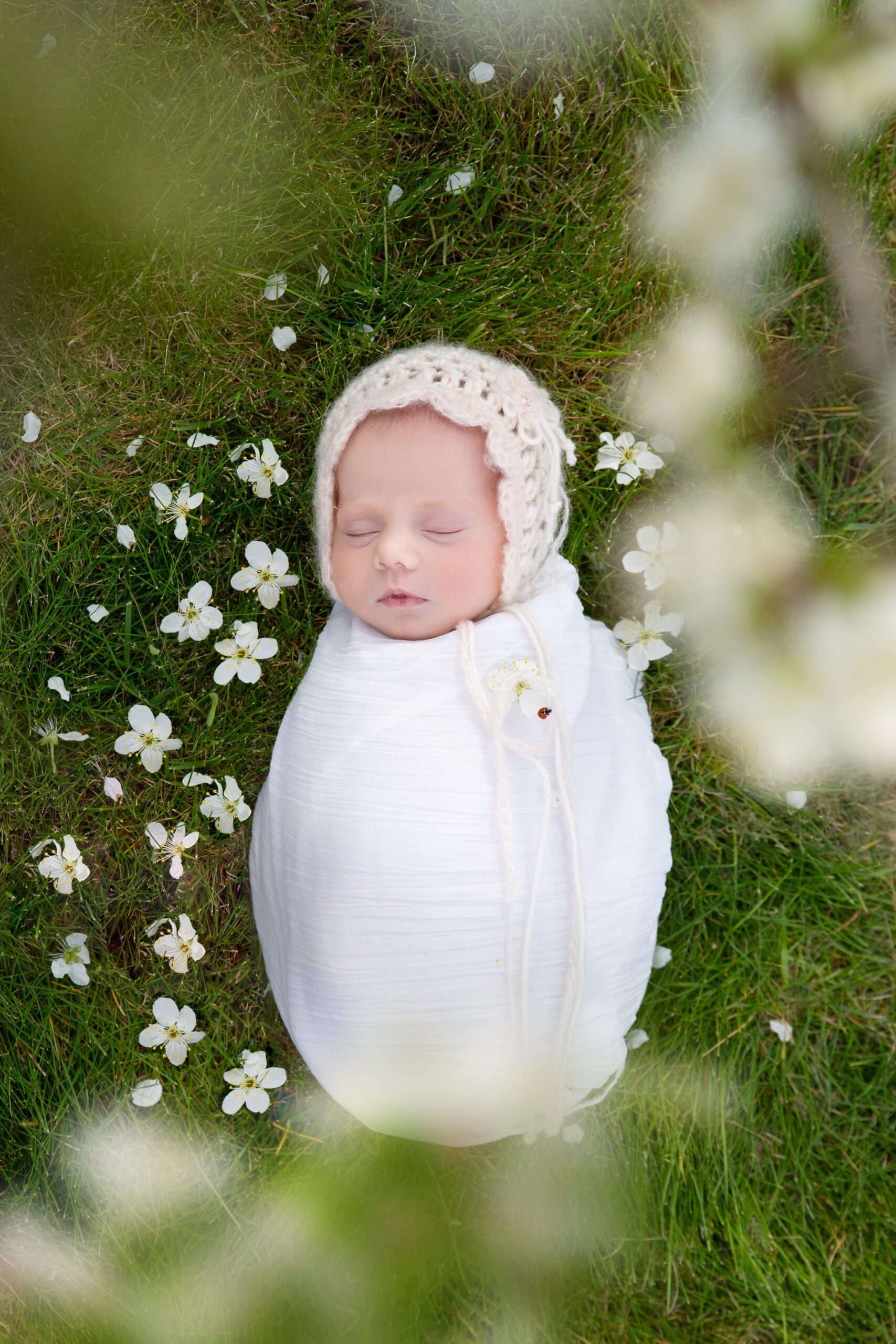 Sustainable future with ‘Carbon Neutral Babies’