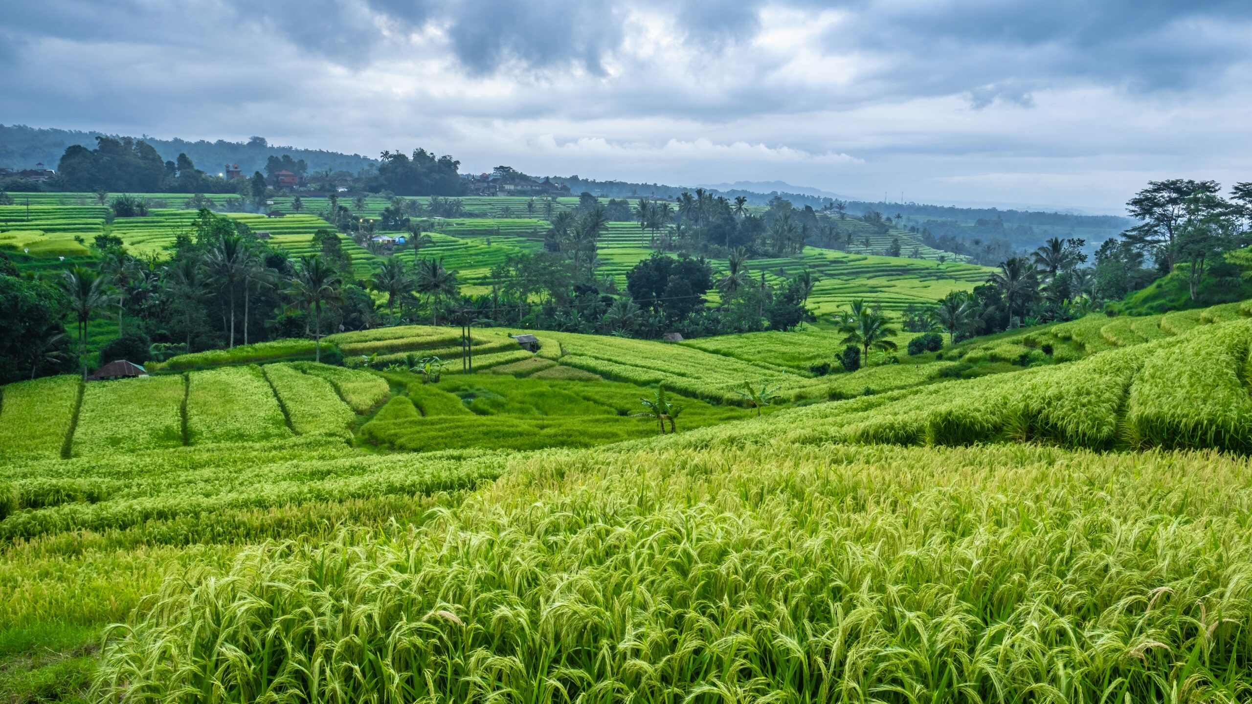 Nations Get Biodiversity Boost for Greener Farming